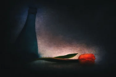 Stemmige tulp en fles