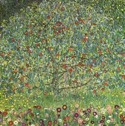 Appelboom I
