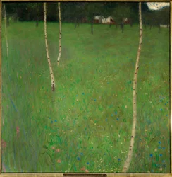 Boerderij met berken