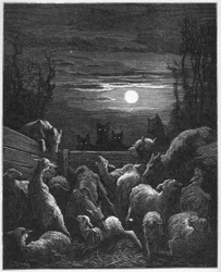 Les Loups et les Ebis - uit 