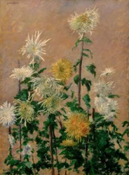 Witte en gele chrysanten