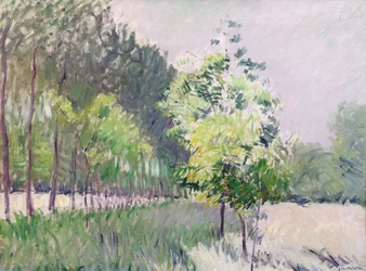 Boomgaard en laan van bomen