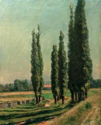 Populieren op de dijk van Argenteuil, bij Petit Gennevilliers
