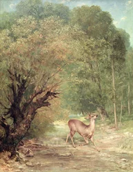 Het Gejaagde Ree op de uitkijk, Lente
