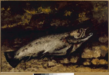 De forel