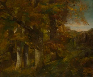 Bosrijk Landschap