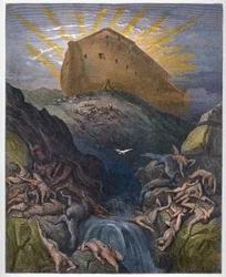 De ark van Noach - De duif die uit de ark wordt gezonden - Gravure uit de «Geïllustreerde Bijbel» van Gustave Doré (1832-1883) - Gravure uit de «Doré-bijbel»