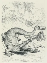 "De avonturen van de baron van Munchausen (Munchhausen): De onverschrokken Baron van Munchausen, achtervolgd door een leeuw, kruist het pad van een enorme krokodil die de leeuw zal verslinden. Illustratie door Gustave Doré Eind 19e eeuw.