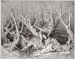 De Goddelijke Komedie (La Divina Commedia, La Divine Comédie), Inferno, Zang 13: De zelfmoordenaars vluchten uit het bos - van Dante Alighieri (1265-1321) - Illustratie van Gustave Doré (1832-1883)