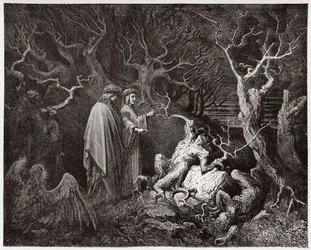 De goddelijke komedie, Inferno, Zang 13: De zelfmoordenaars in het woud - van Dante Alighieri (1265-1321) - Illustratie van Gustave Doré (1832-1883)