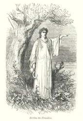 Windsor Forest (gravure)