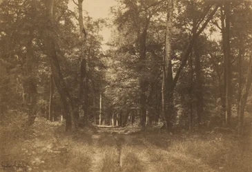 Bas-Bréau, Bos van Fontainebleau,1849-1852 (foto)