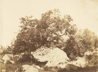 Zwerfkei bij Cabat, Epine kruispunt bos van Fontainebleau
