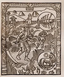 Herderkalender - De Arbeid van de Maanden - Juli - Houtsnede uit het boek van 1496 gedrukt door Guy Marchant (Guido Mercator) in Troyes - Hooien, het maaien van hooi - Houtsnede in 