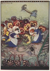 Illustratie van twee cavia