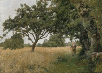 Bretons Landschap