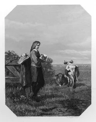 Paulus Potter, 17e-eeuwse Nederlandse schilder