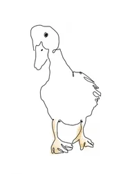 Lijntekening van een schattig eendje