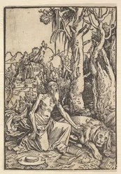 St. Hiëronymus in de woestijn