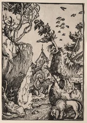 St. Hiëronymus in de wildernis