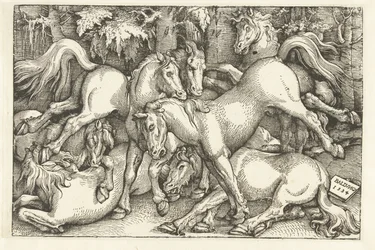 Groep van zeven vechtende paarden