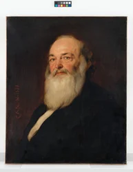 Carl Christian von Hochstetter, industrieel