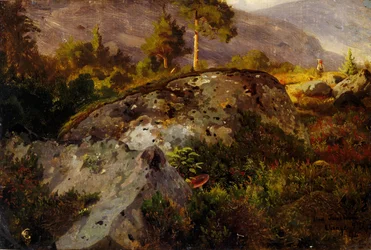 Landschapsstudie van Vågå
