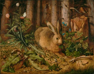 Een haas in het bos