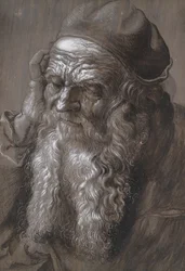 Een oude man van 93 jaar: Sint-Hiëronymus