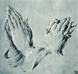 Handstudies naar Dürer