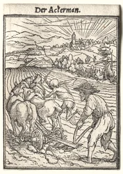 Dans van de Dood: De Ploeger