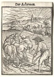 Dans van de Dood: De Ploeger
