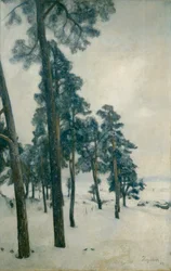 From Bogstad water