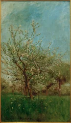 Bloesembomen Uerdenbach