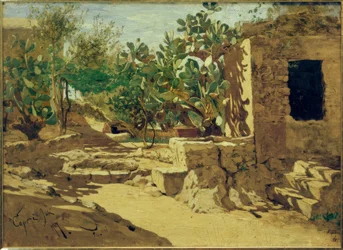 H.P. Feddersen de Jongere, Cactus met hut
