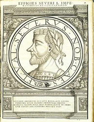 Seuerus D, illustratie uit 