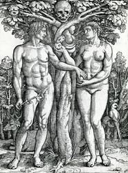 De zondeval van Adam en Eva, ca. 1525-27