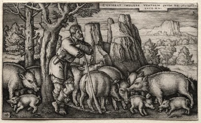 De verloren zoon: Varkens hoeden
