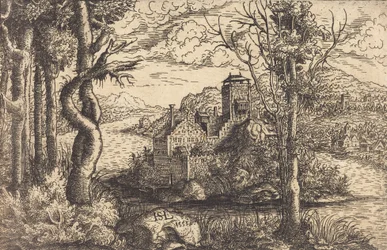 Uitzicht op een Rivier met een Kasteel op een Eiland