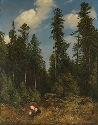 Zwarte Woud sparren (Bessenplukkers)