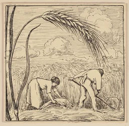 Tekening voor het leerboek: Maïskolf
