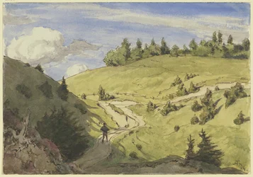 Landschap in het Zwarte Woud