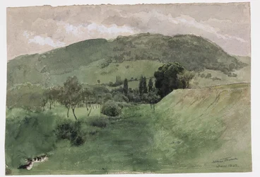 Landschap in het Zwarte Woud