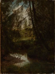 Sparren bij de bosbeek
