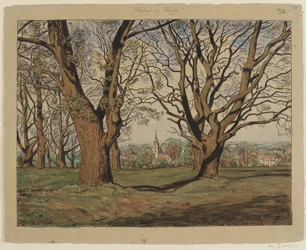 Het Taunuslandschap bij Oberursel