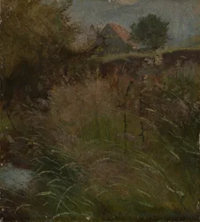 Weide, met op de achtergrond een boerderij
