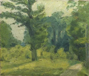 Aan de Rand van het Bos