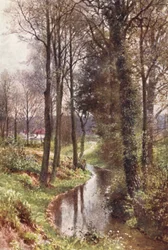 Water Lane, nabij East Horsley