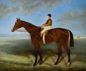 Salpinctes-een renpaard, ca. 1814-82