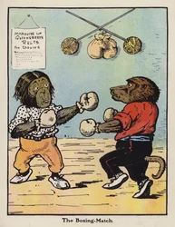 De Bokswedstrijd